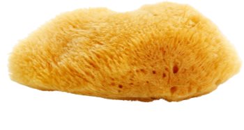 Magnum Natural Caribbean Sea Sponge