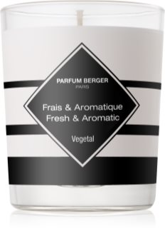 Maison Berger Paris Anti Odour Tobacco vonná svíčka 180 g II. (Fresh and Aromatic)