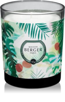 Maison Berger Paris Immersion Lychee Paradise vonná sviečka 240 g