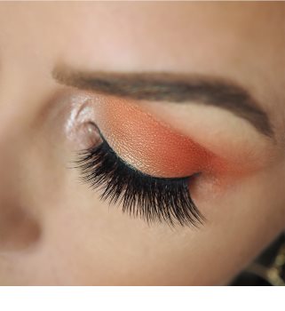 Makeup Revolution by Petra palette de fards à paupières