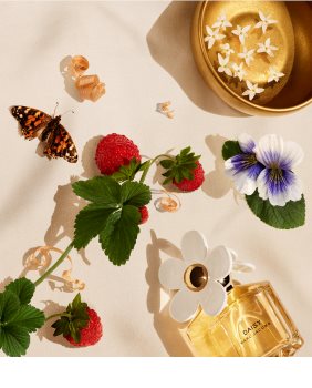 Marc Jacobs Daisy Eau de Toilette para mulheres 100 ml