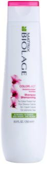 Matrix Biolage Color Last shampoing pour cheveux colorés