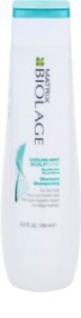 Matrix Biolage ScalpThérapie New шампоан за бързо омазняваща се коса