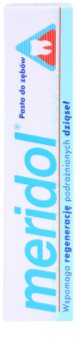 Meridol Dental Care Toothpaste Supporting Regeneration Of Irritated Gums