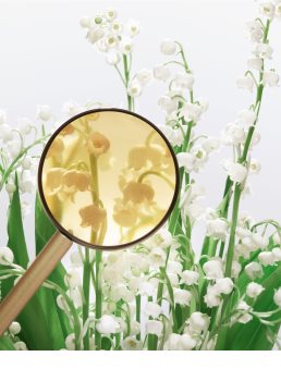 Miu Miu L'Eau Bleue parfémovaná voda pro ženy 100 ml