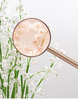 Miu Miu L'Eau Rosée eau de toilette pentru femei 100 ml