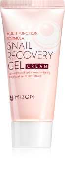 Mizon Multi Function Formula Facial Gel With Snail Extract