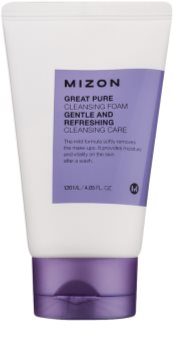 Mizon Great Pure Cleansing Foam for Face