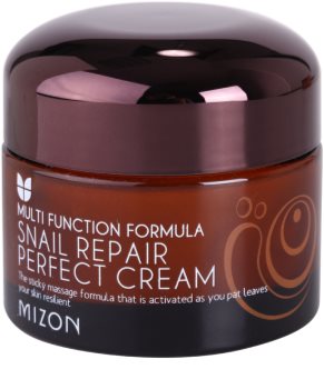 Mizon Multi Function Formula pleťový krém s filtrátem hlemýždího sekretu 60%
