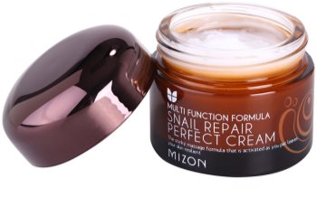 Mizon Multi Function Formula krem do twarzy z ekstraktem ze śluzu z ślimaka 60%