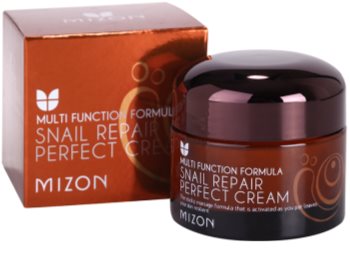 Mizon Multi Function Formula pleťový krém s filtrátem hlemýždího sekretu 60%
