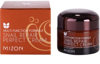 Mizon Multi Function Formula krem do twarzy z ekstraktem ze śluzu z ślimaka 60%