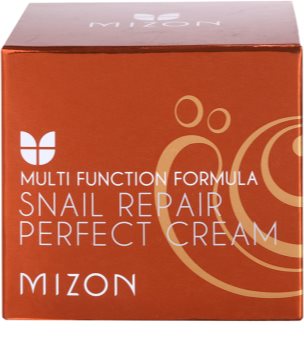 Mizon Multi Function Formula pleťový krém s filtrátem hlemýždího sekretu 60%