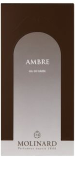 Molinard Les Elements Ambre Eau de Toilette para mulheres 100 ml