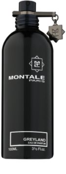 Montale Greyland eau de parfum teszter unisex 100 ml
