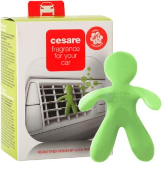 Mr & Mrs Fragrance Cesare Citrus Auto luchtverfrisser 1 st I.