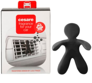 Mr & Mrs Fragrance Cesare Cedar Wood Auto luchtverfrisser 1 st I.