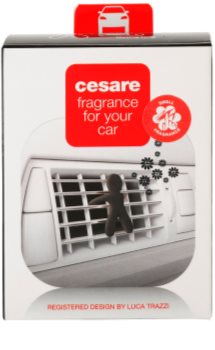 Mr & Mrs Fragrance Cesare Cedar Wood Auto luchtverfrisser 1 st I.