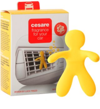 Mr & Mrs Fragrance Cesare Vanilla désodorisant voiture 1 pcs I.