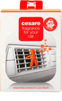 Mr & Mrs Fragrance Cesare Energy illat autóba 1 db I.