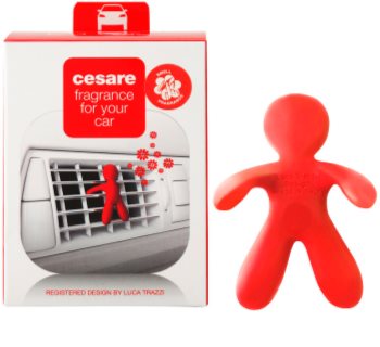 Mr & Mrs Fragrance Cesare Pepper Mint Auto luchtverfrisser 1 st I.
