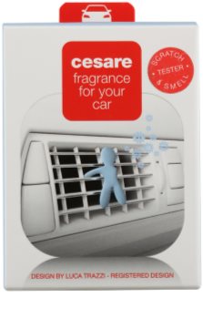 Mr & Mrs Fragrance Cesare Cashmere désodorisant voiture 1 pcs