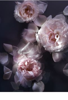 Nina Ricci L'Extase Caresse de Roses eau de parfum nőknek 50 ml