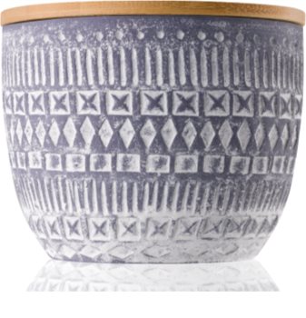 Paddywax Sonora Wildflowers & Birch bougie parfumée 283 g