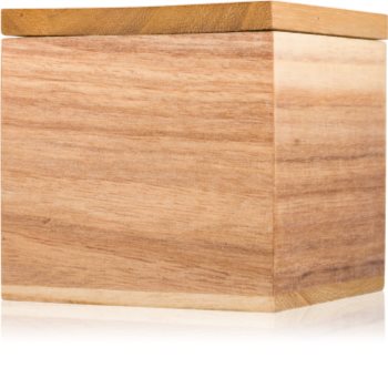 Paddywax Woods Eucalyptus & Sandalwood lumânare parfumată 141 g