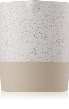 Paddywax Mesa Black Salt & Birch lumânare parfumată 283 g