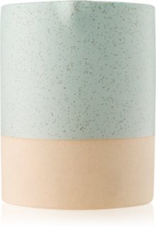 Paddywax Mesa Cactus Flower & Matcha Geurkaars 283 gr