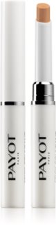 Payot Pâte Grise Purifying Concealer