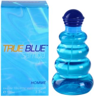 Perfumer’s Workshop True Blue Samba woda toaletowa dla mężczyzn 100 ml