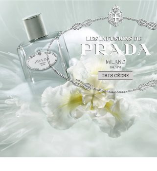 Prada Les Infusions: Infusion Iris Cedre eau de parfum unisex 100 ml