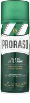 Proraso Green pena na holenie