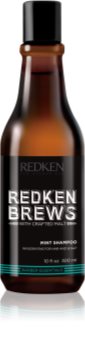 Redken Brews Invigorating Mint Shampoo for Hair and Scalp