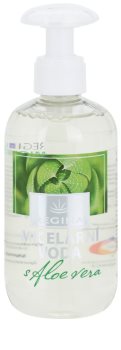 Regina Aloe Vera Mizellarwasser mit Aloe Vera