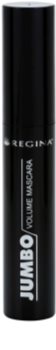 Regina Colors mascara pentru volum