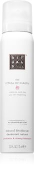 rituals the ritual of ayurveda