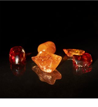 Roberto Cavalli Florence Amber парфюмна вода за жени 75 мл.