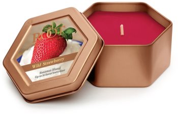 Root Candles Wild Strawberry Scented Candle 113 g in Tin