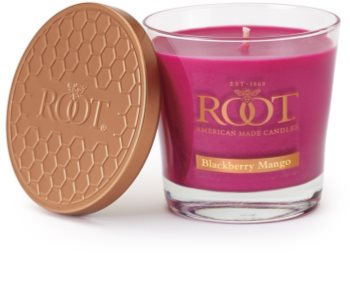 Root Candles Blackberry Mango Scented Candle 179 g
