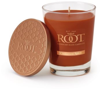 Root Candles Cinnamon Spice lumânare parfumată 297,7 g