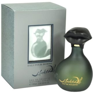 Salvador Dali Pour Homme toaletní voda pro muže 100 ml