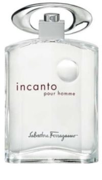 Salvatore Ferragamo Incanto Pour Homme woda toaletowa dla mężczyzn 100 ml