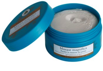 Sanoflore Magnifica Reinigungsmaske für Haut mit kleinen Makeln