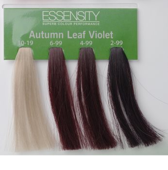 Schwarzkopf Professional Essensity Colour tinte de pelo