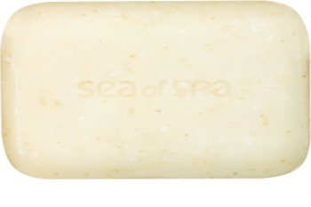 Sea of Spa Dead Sea Treatment trdo milo z morskimi algami