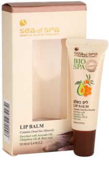 Sea of Spa Bio Spa Lippenbalsam