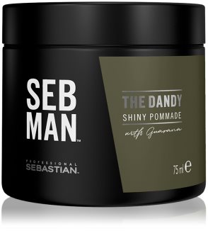 Sebastian Professional SEBMAN The Dandy pomata per capelli per un fissaggio naturale